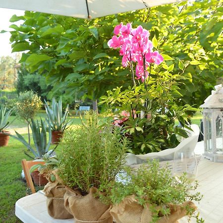 مبيت وإفطار Castelnuovo Belbo Bed & Tours Dimora Di Campagna المظهر الخارجي الصورة