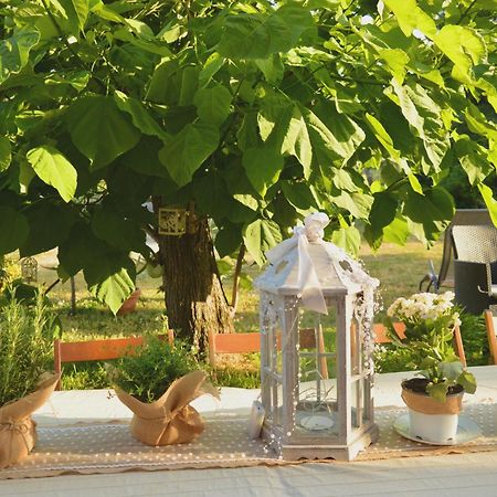 مبيت وإفطار Castelnuovo Belbo Bed & Tours Dimora Di Campagna المظهر الخارجي الصورة