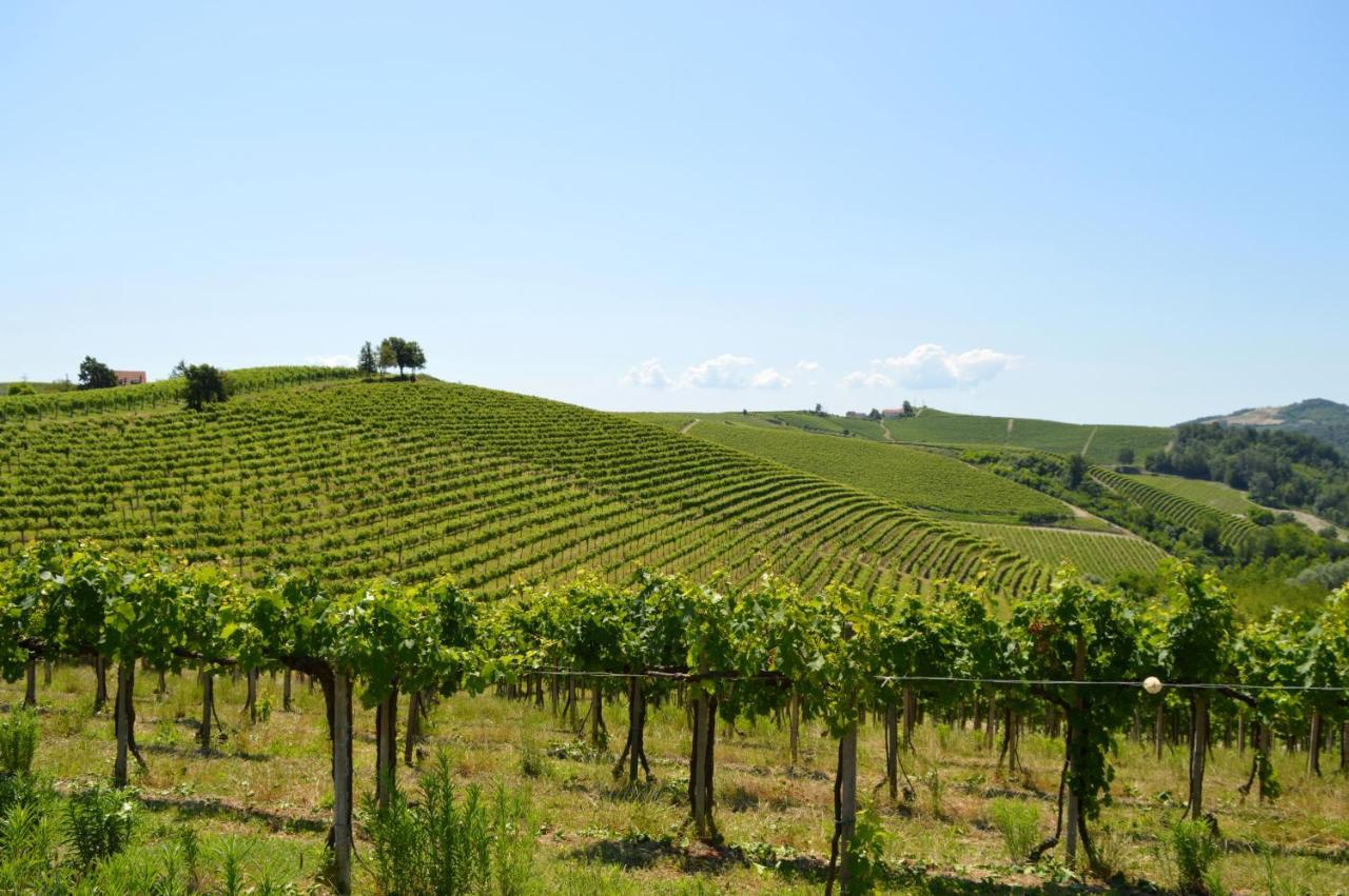 مبيت وإفطار Castelnuovo Belbo Bed & Tours Dimora Di Campagna المظهر الخارجي الصورة