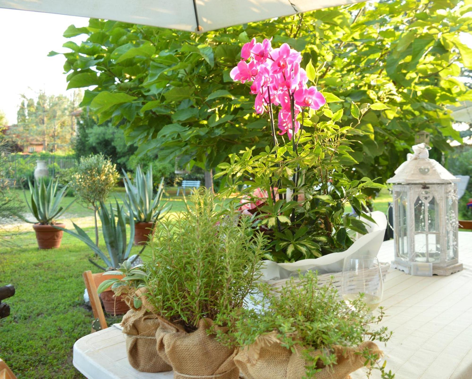 مبيت وإفطار Castelnuovo Belbo Bed & Tours Dimora Di Campagna المظهر الخارجي الصورة