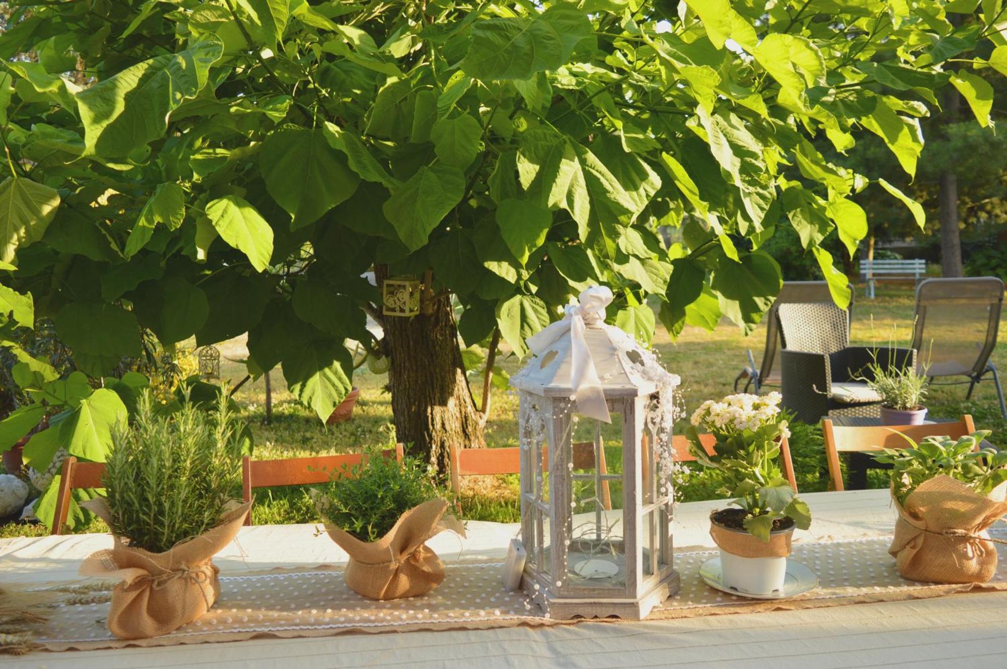 مبيت وإفطار Castelnuovo Belbo Bed & Tours Dimora Di Campagna المظهر الخارجي الصورة